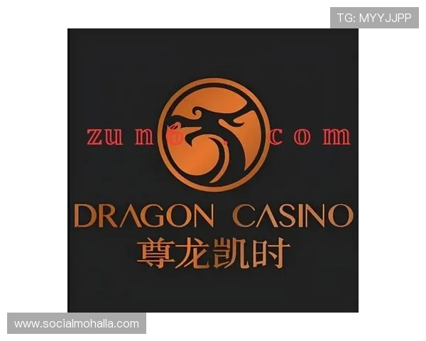 尊龙时凯官方网站入口：官方入口的隐私政策与数据安全保障措施