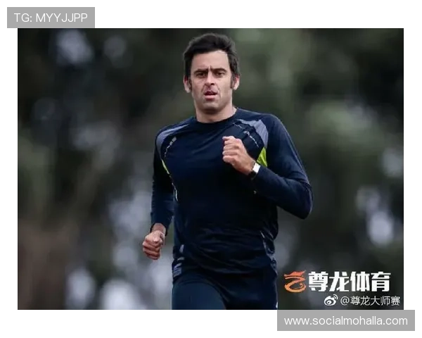 尊龙体育官网用户数据分析，优化游戏内容与用户体验的持续改进