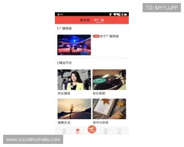 深入了解新版尊龙app的安全性与隐私保护机制，放心使用